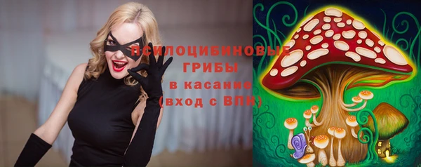 шишки Горняк