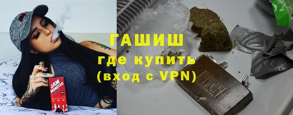 шишки Горняк
