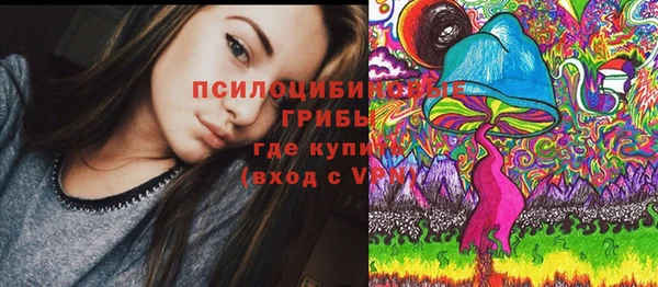 тгк Горно-Алтайск