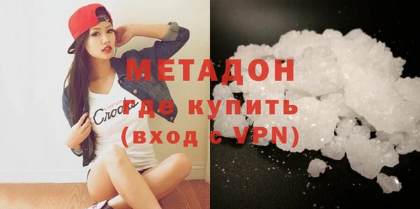 шишки Горняк