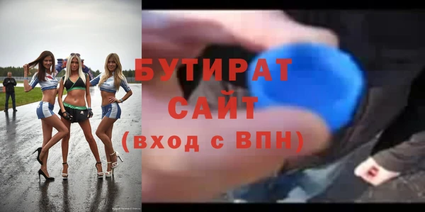 шишки Горняк