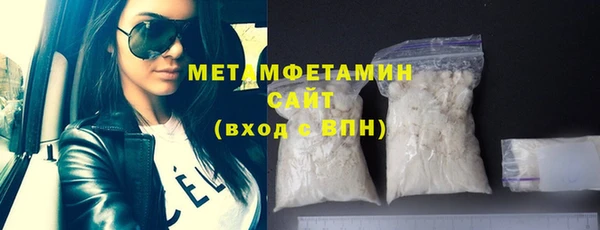 шишки Горняк
