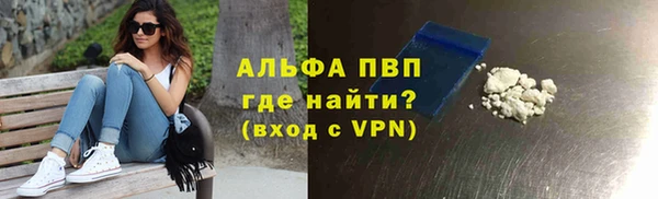 тгк Горно-Алтайск