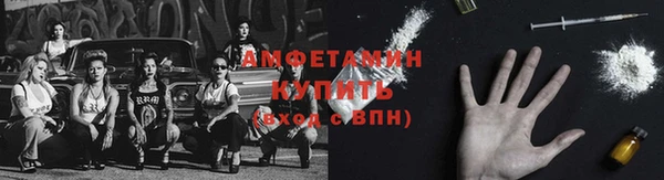 шишки Горняк