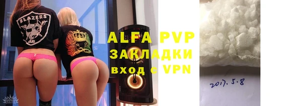шишки Горняк