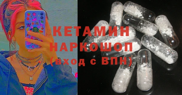 шишки Горняк