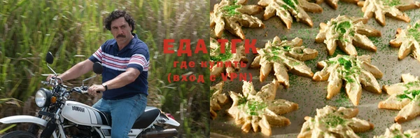 шишки Горняк