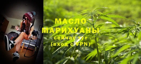 шишки Горняк