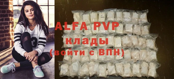 шишки Горняк