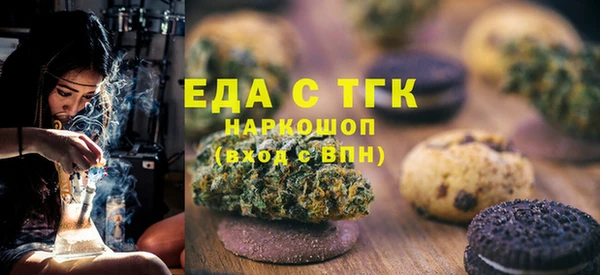 шишки Горняк