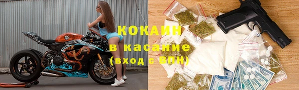 шишки Горняк
