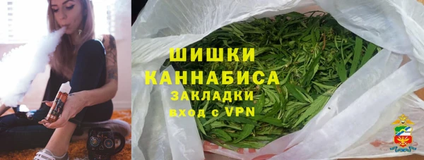 шишки Горняк