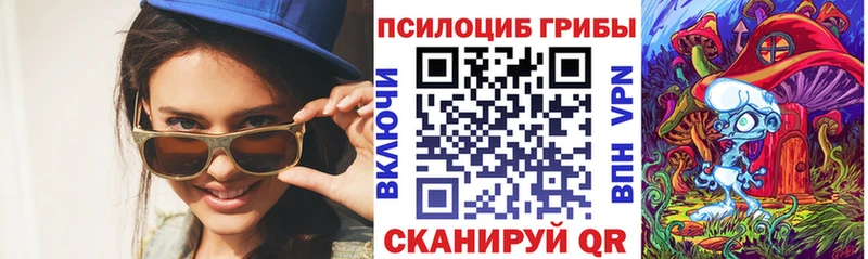 Купить  Чёрмоз  Псилоцибиновые грибы Psilocybine cubensis 